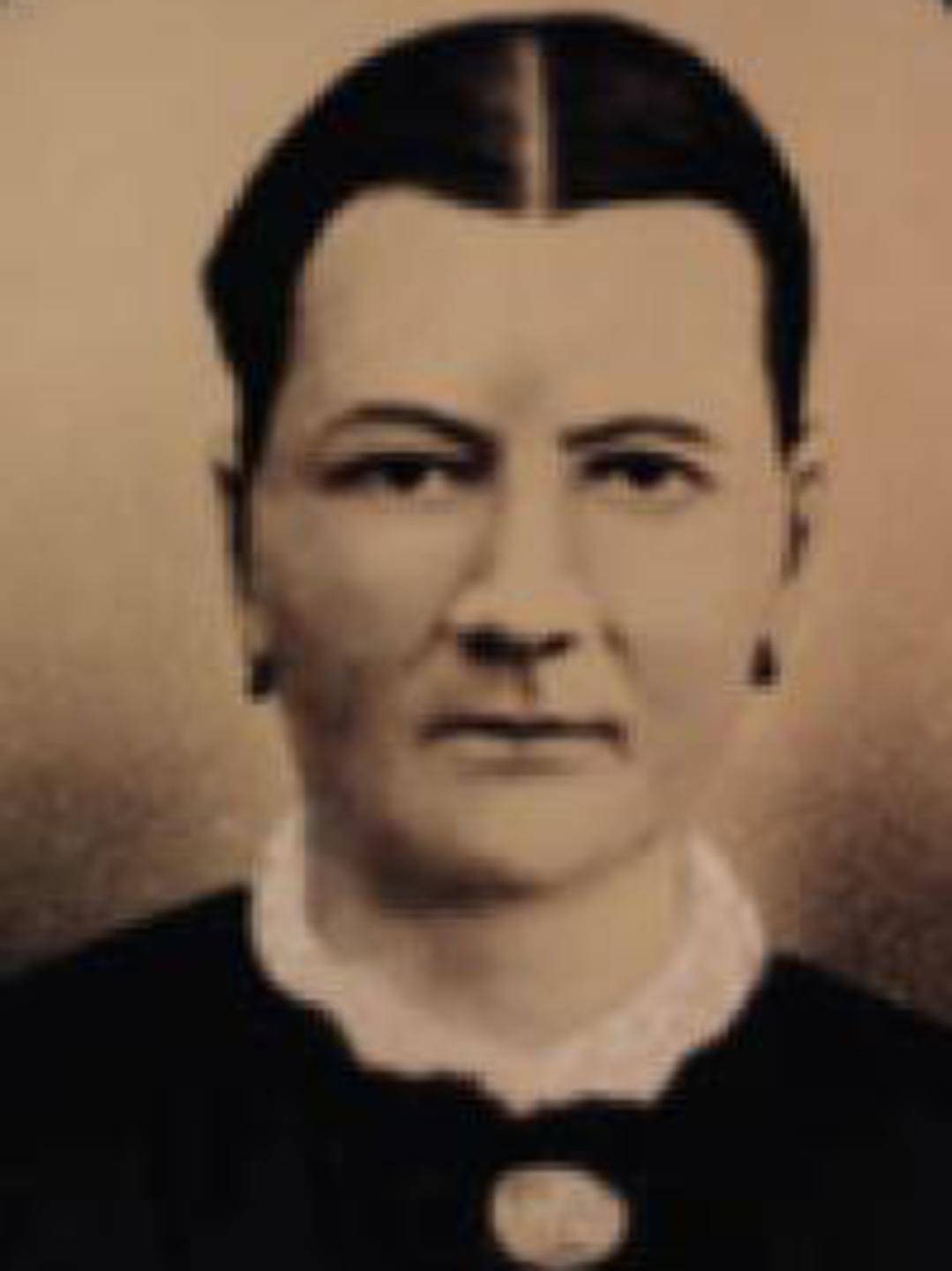 Anna Sophia Johansson Bjork (1840 - 1888) Profile